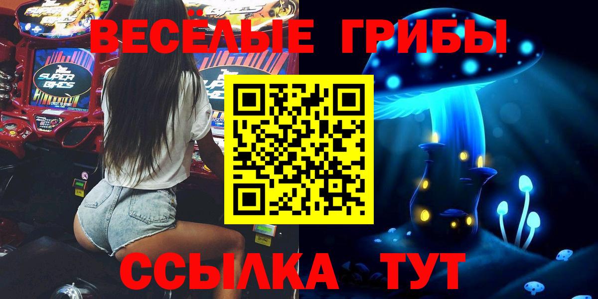 Истра  Псилоцибиновые грибы Psilocybine cubensis  Вход с VPN  Псилоцибиновые грибы MAGIC MUSHROOMS 