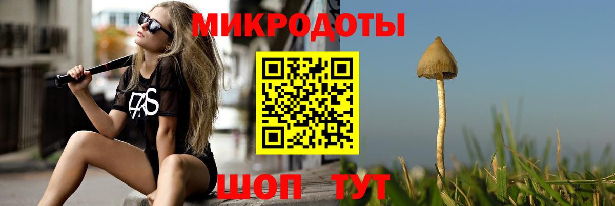 Псилоцибиновые грибы Psilocybine cubensis Истра